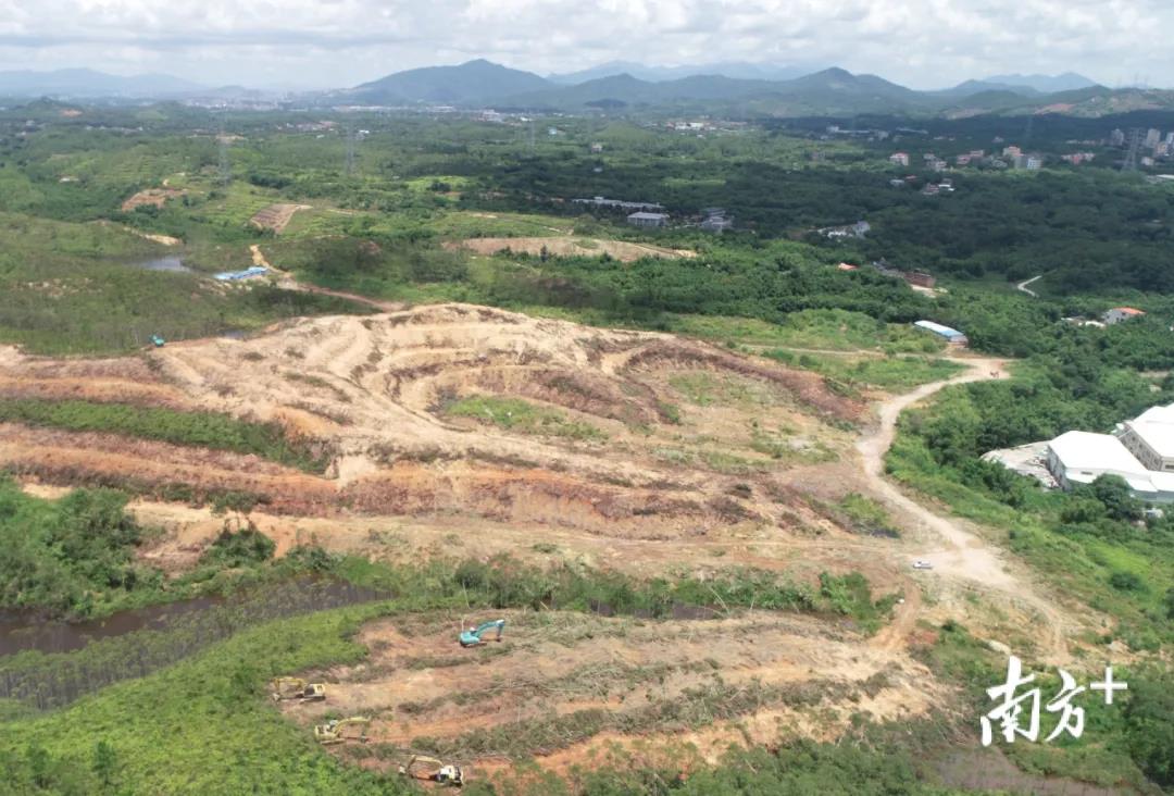 1597817498348095653.jpg 3.jpg